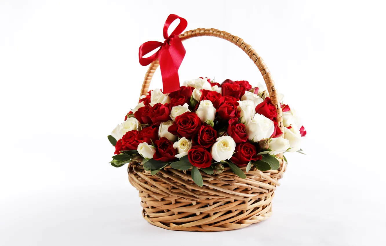 Фото обои корзина, розы, красные, бант, Rose, красивые, bow, lovely