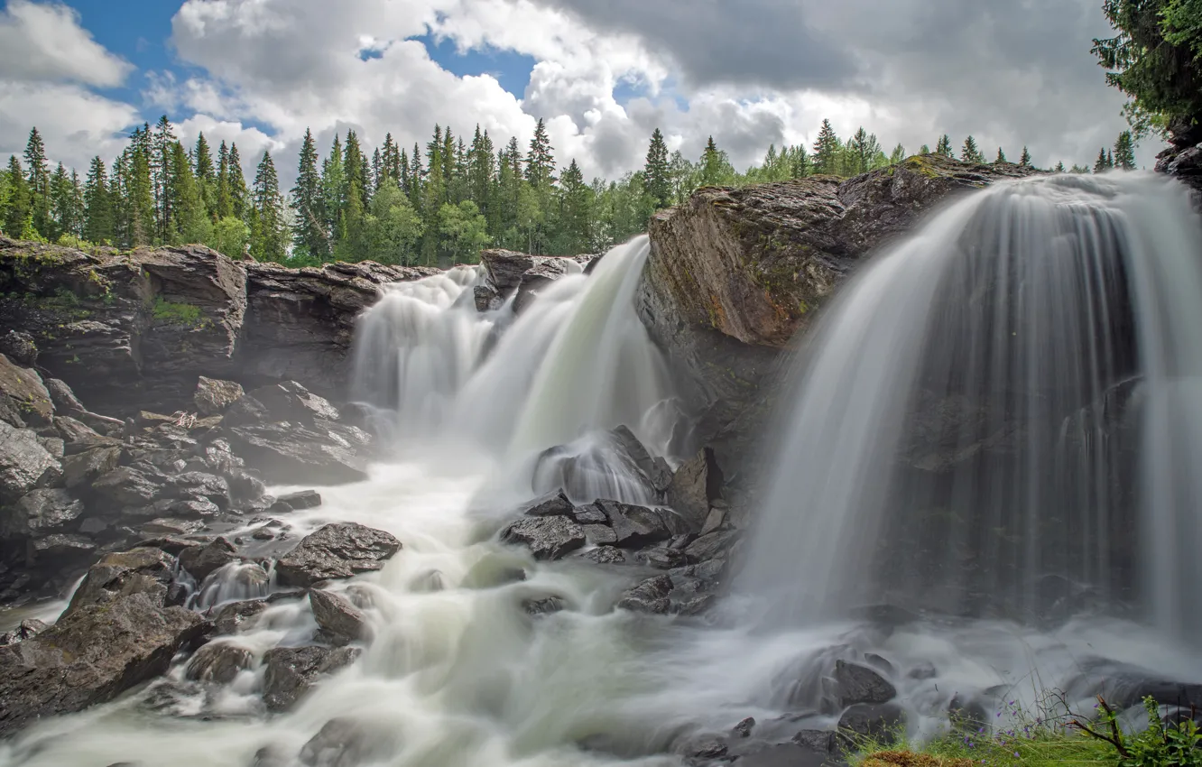 Фото обои лес, облака, деревья, камни, скалы, водопад, Швеция