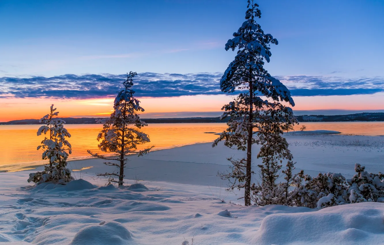 Фото обои зима, снег, деревья, закат, озеро, Швеция, Sweden, Вермланд