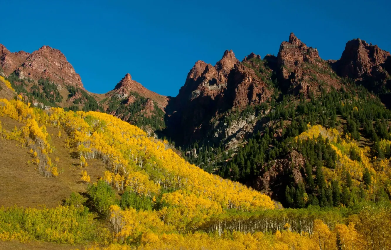Фото обои лес, деревья, горы, желтые, Colorado, Maroon Bells