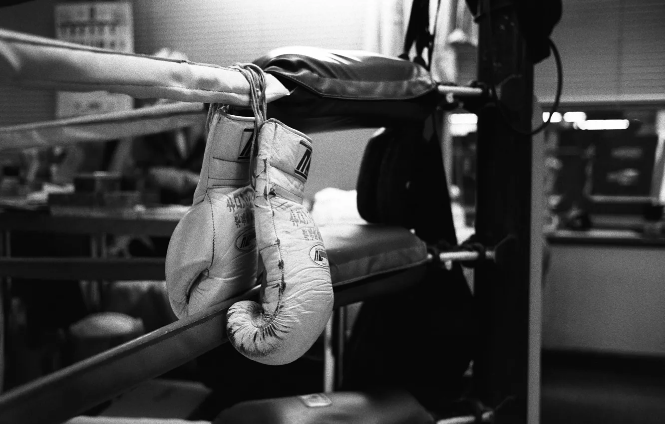 Фото обои Gloves, Ring, Boxing
