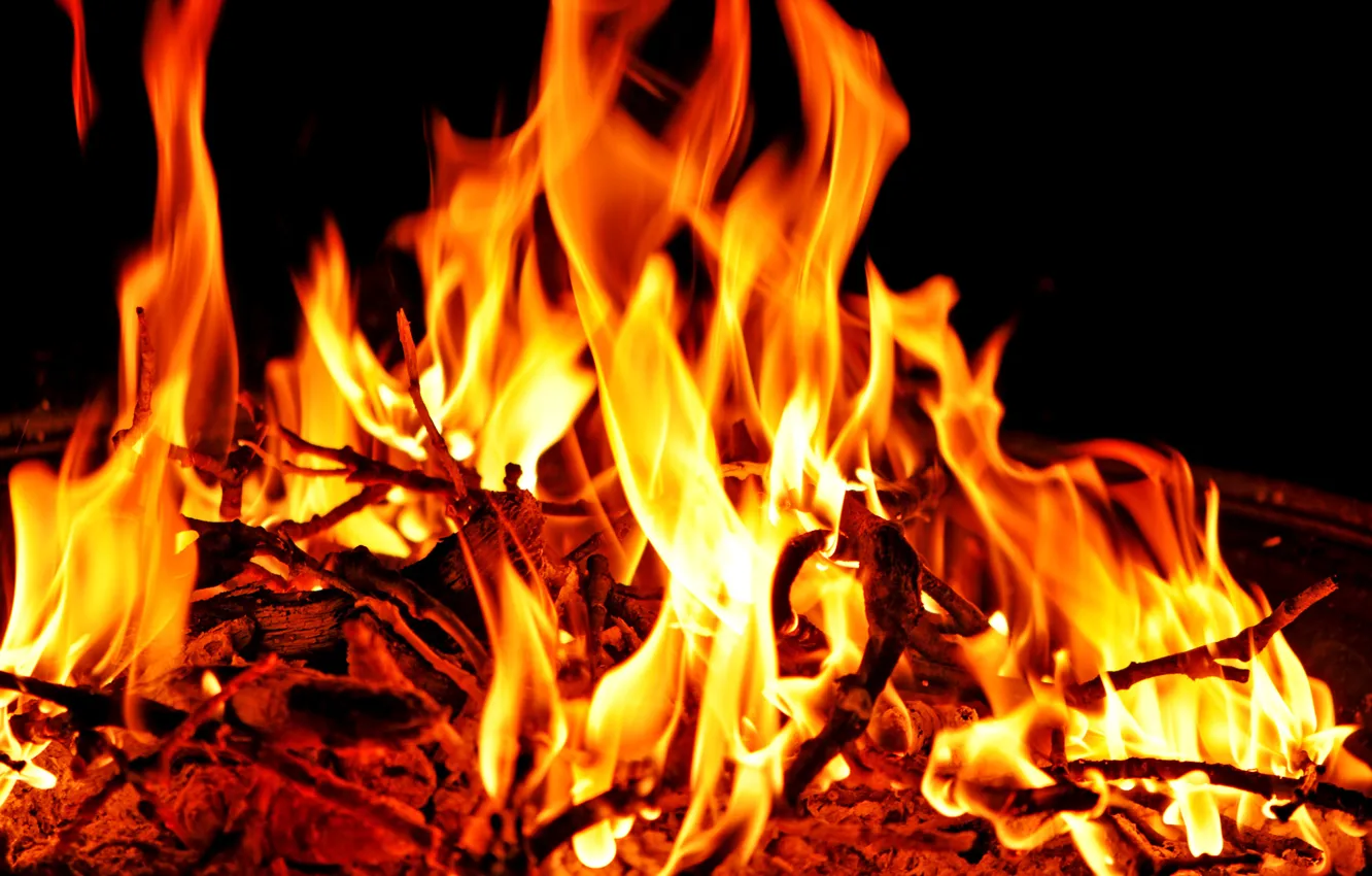 Фото обои ветки, огонь, пламя, костер, угли
