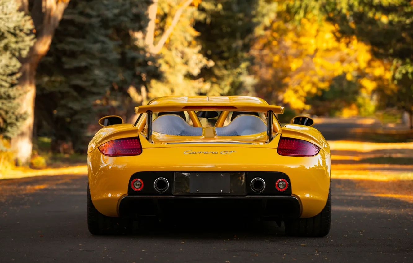 Фото обои Porsche, rear, Porsche Carrera GT