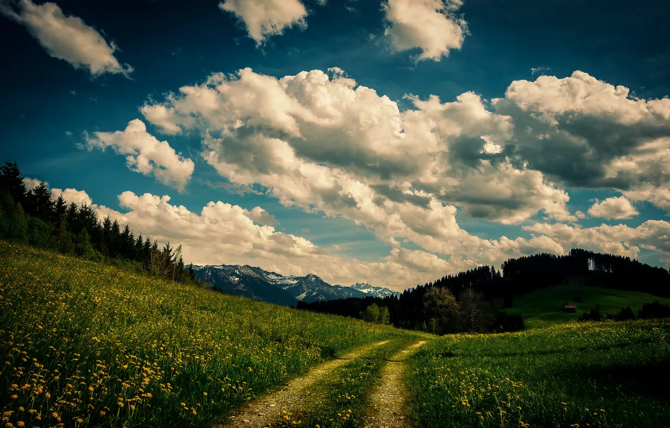 Фото обои небо, трава, облака, деревья, цветы, горы, дом, путь