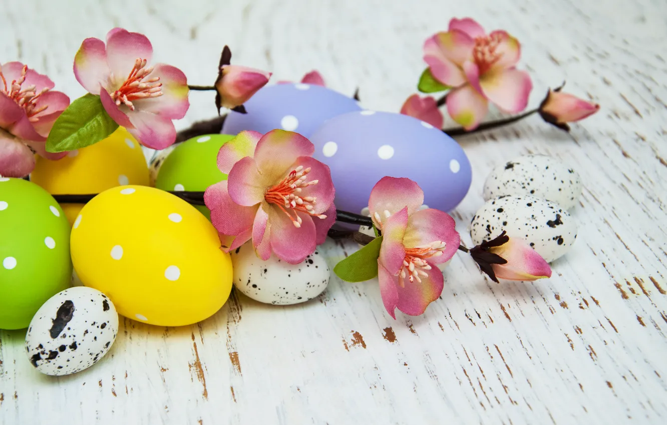 Фото обои цветы, яйца, colorful, Пасха, happy, wood, pink, blossom