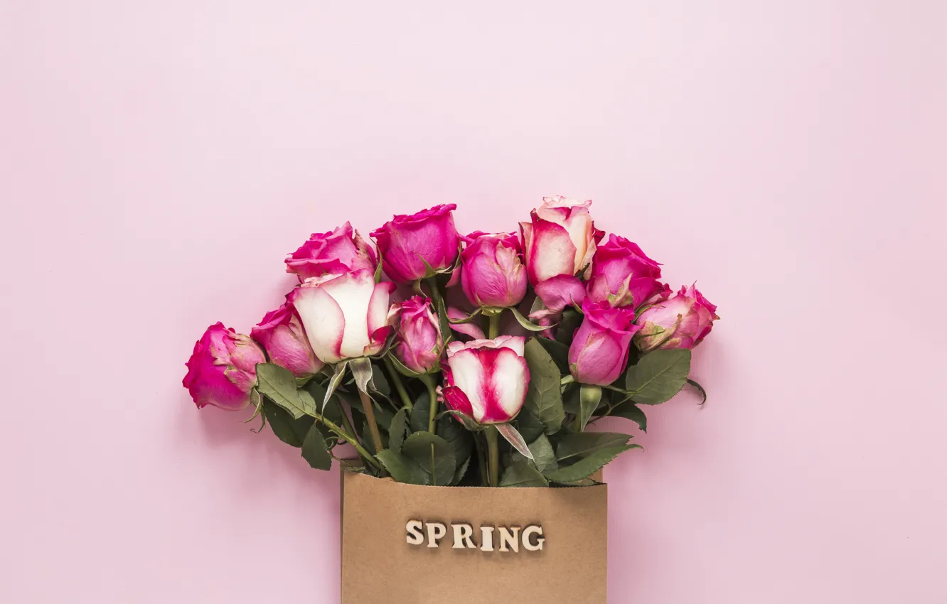 Фото обои цветы, розы, розовые, pink, flowers, beautiful, spring, roses