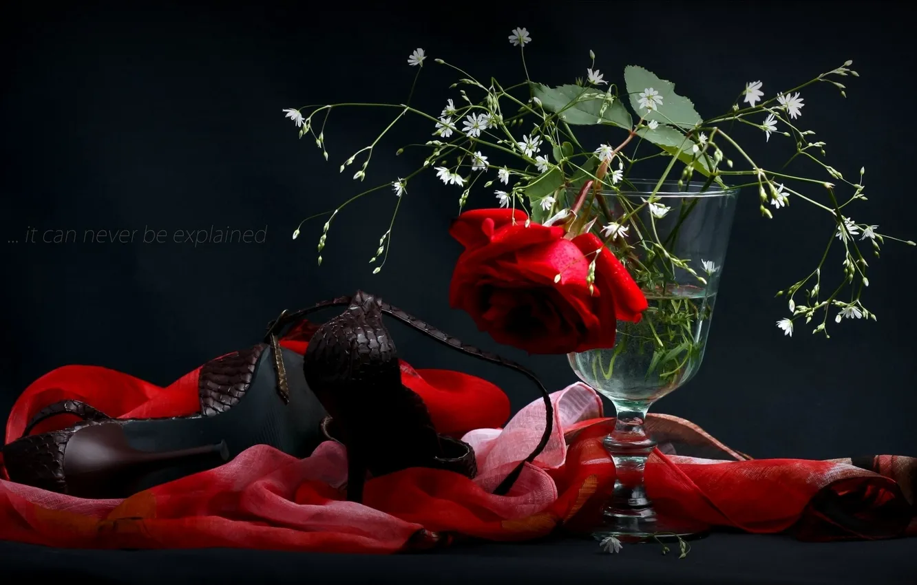 Фото обои цветы, роза, туфли, ваза, платок