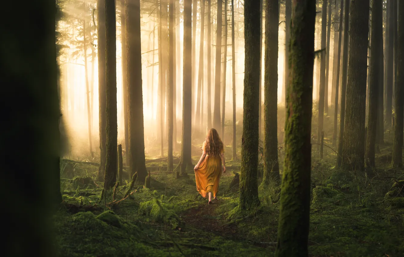 Фото обои лес, девушка, природа