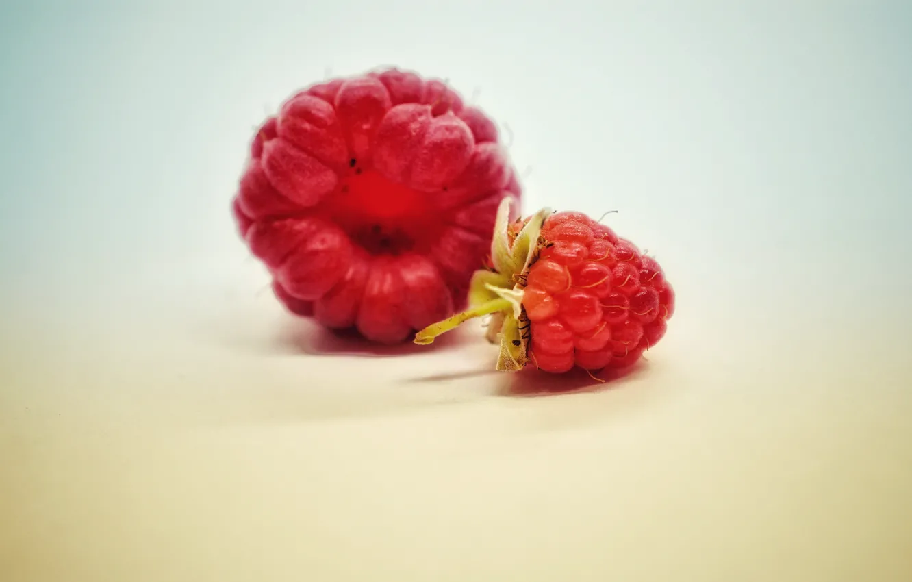 Фото обои ягоды, малина, фон