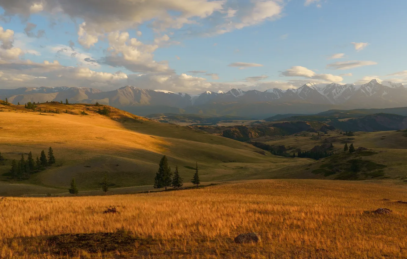 Фото обои grass, sky, trees, field, landscape, nature, mountains, clouds