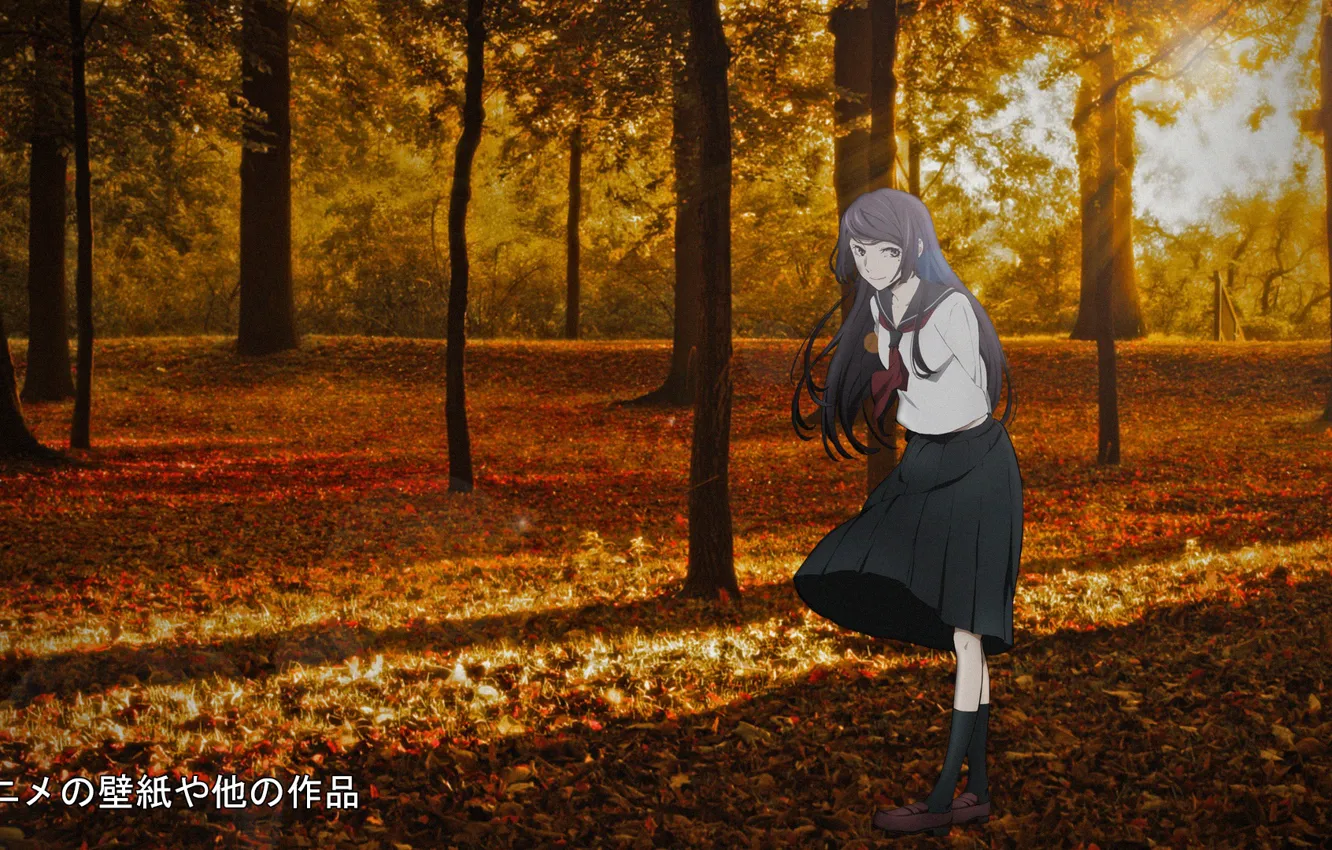 Фото обои девушка, аниме, листопад, anime, madskillz, мэдскиллз