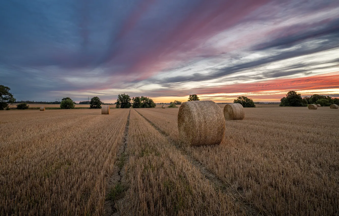 Фото кипа сена