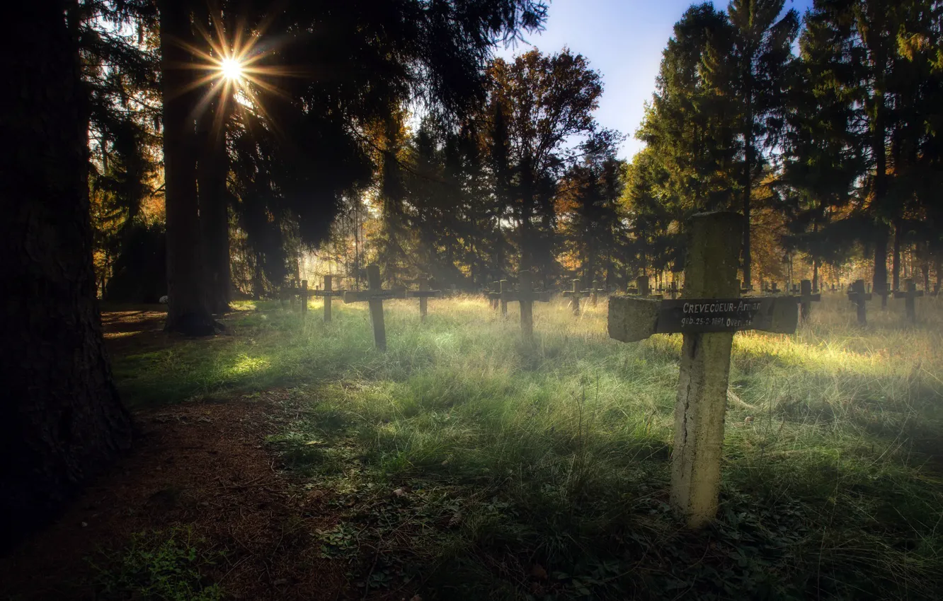 Фото обои свет, крест, утро, кладбище