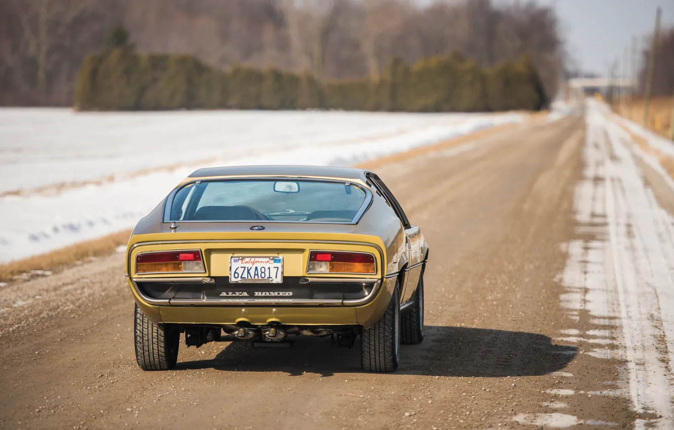 Фото обои Alfa Romeo, rear, 1972, Montreal, Alfa Romeo Montreal