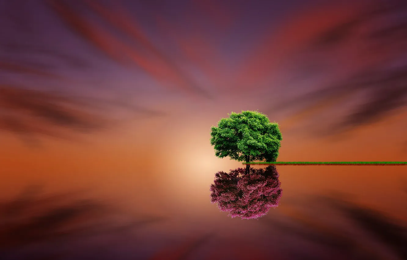 Фото обои отражение, дерево, fine art, Parallel Life