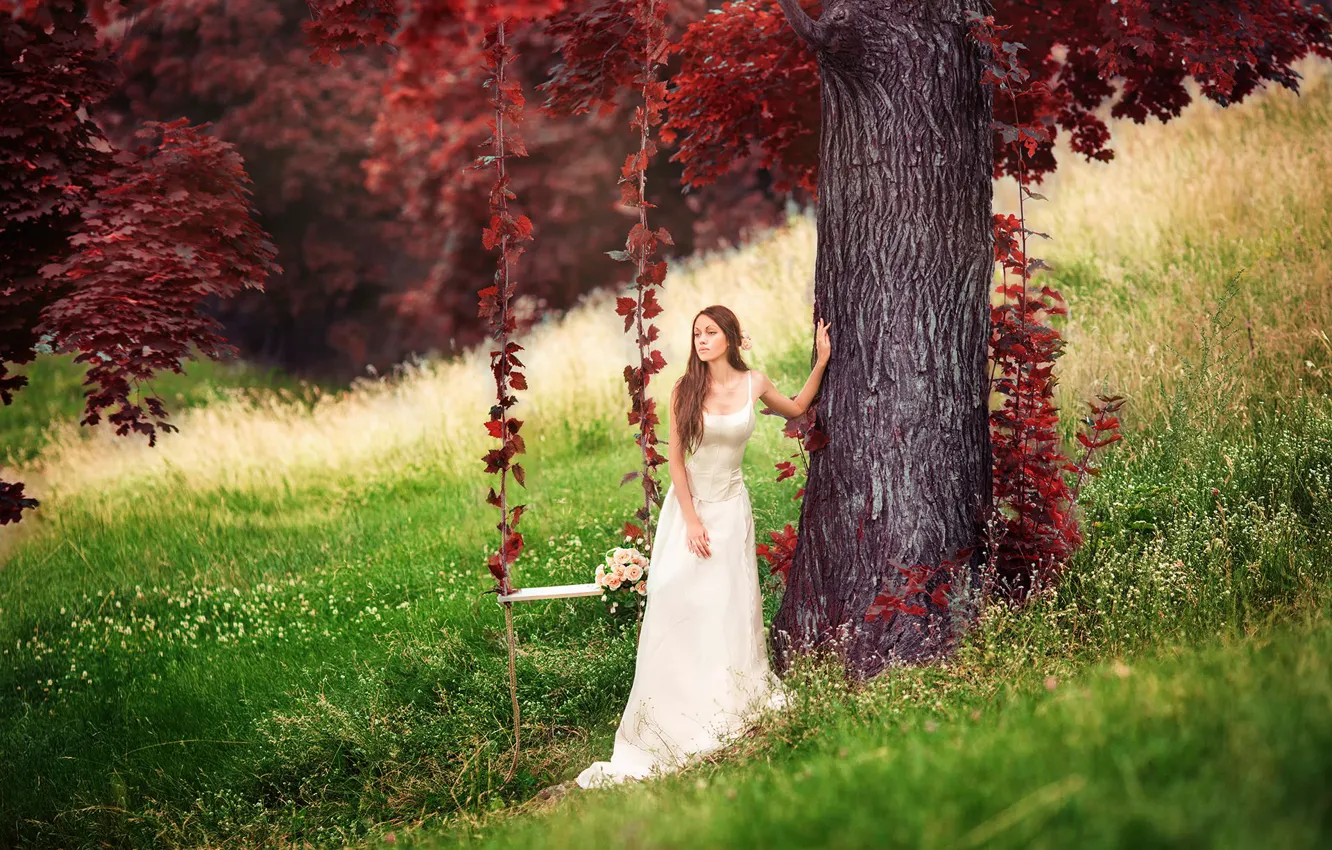 Фото обои девушка, качели, дерево, Red forest