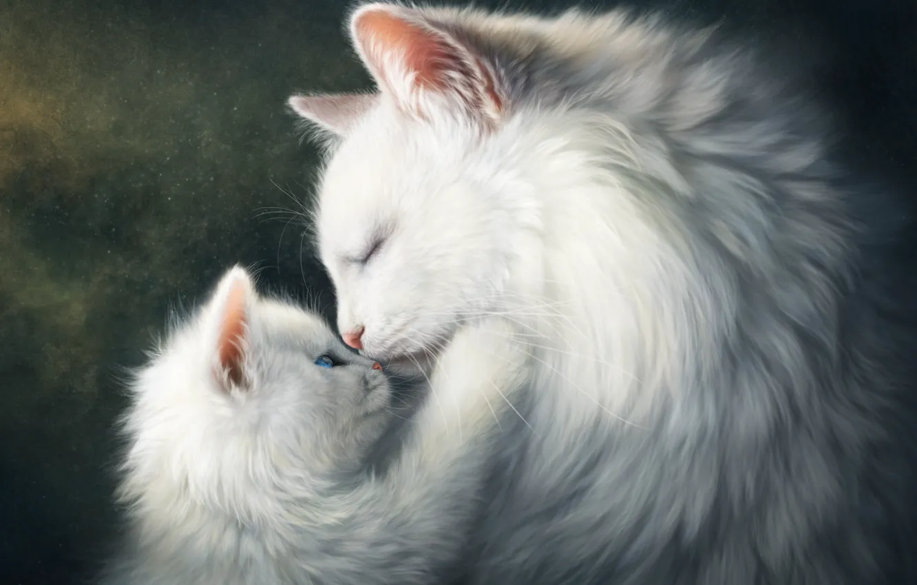 Фото обои кошка, животные, белый, котенок, коты, чувства, малыш, мама