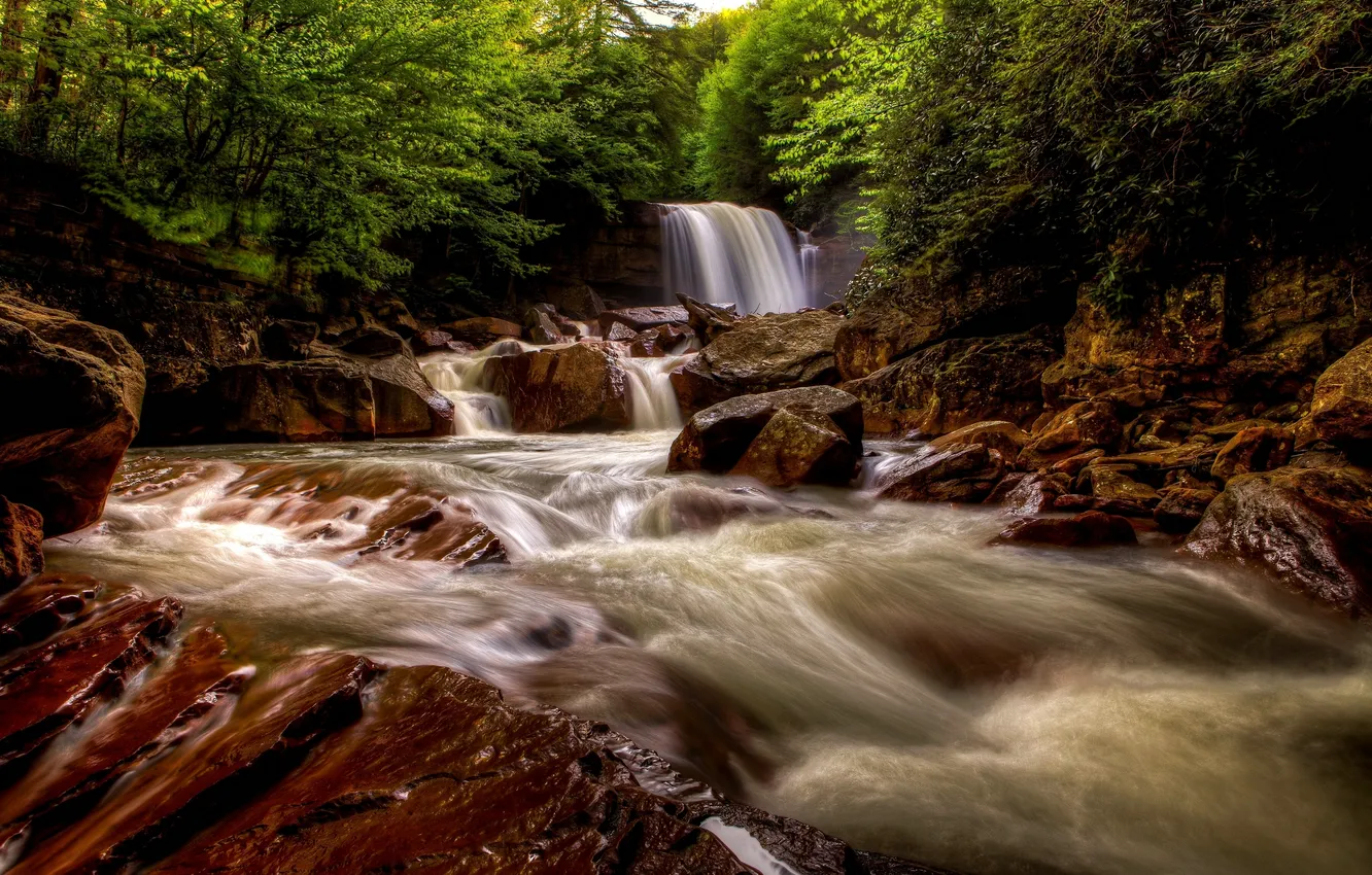 Фото обои лес, река, камни, водопад, West Virginia, Западная Виргиния, Blackwater River, Douglas Falls