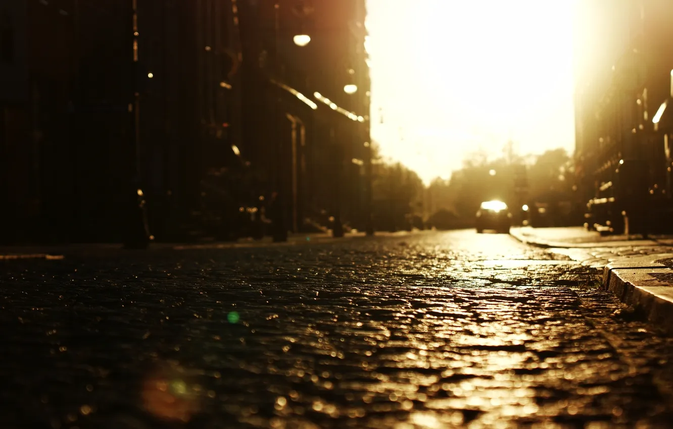 Фото обои дорога, солнце, улица