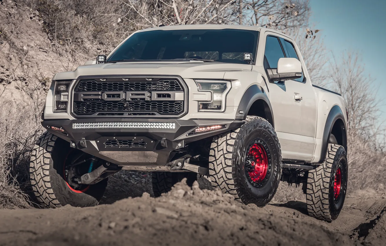 Фото обои Ford, Raptor, Mountain, Lights, Pickup, F150, Nardo Gray