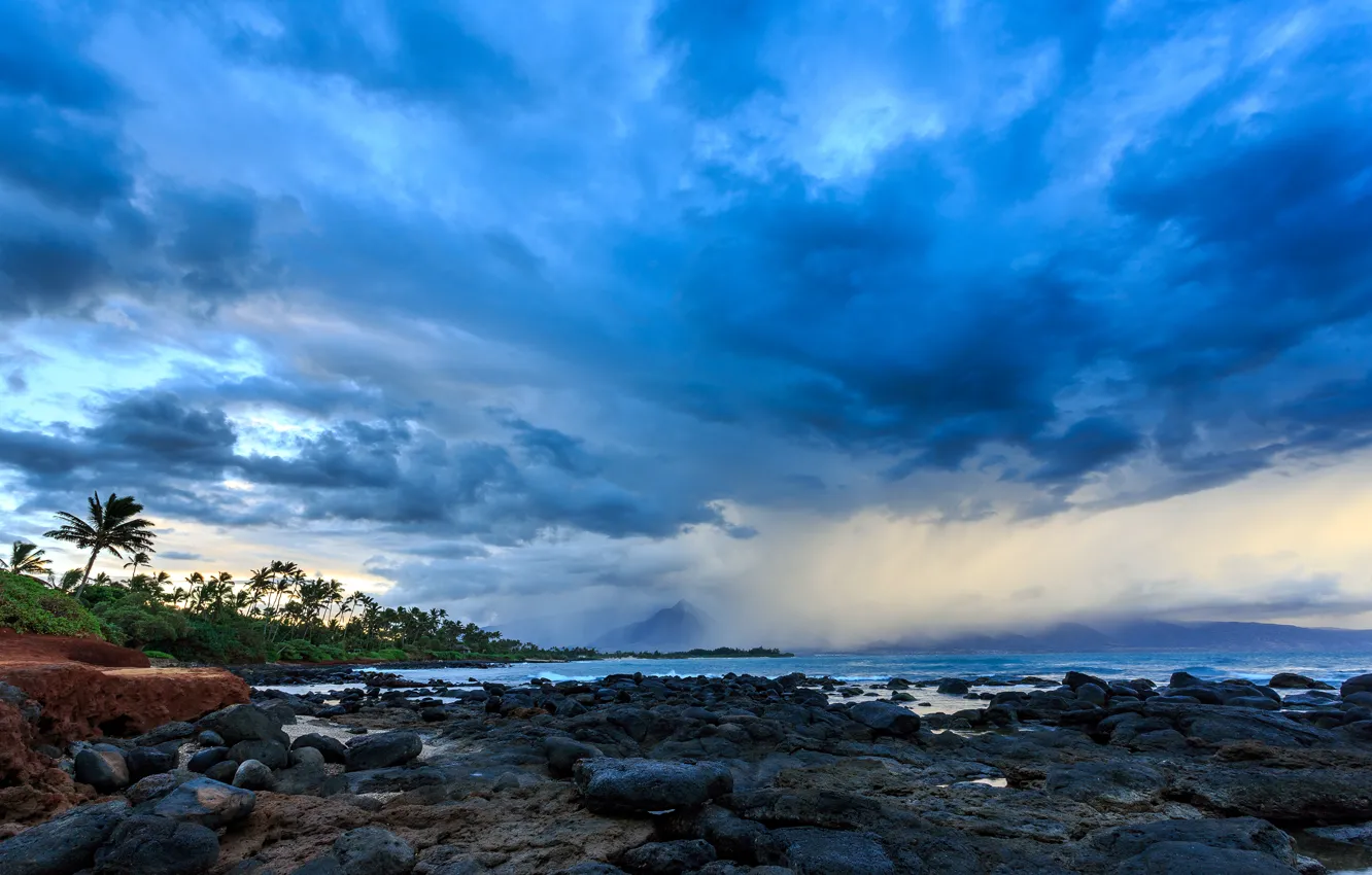 Фото обои шторм, природа, пальмы, океан, Гавайи