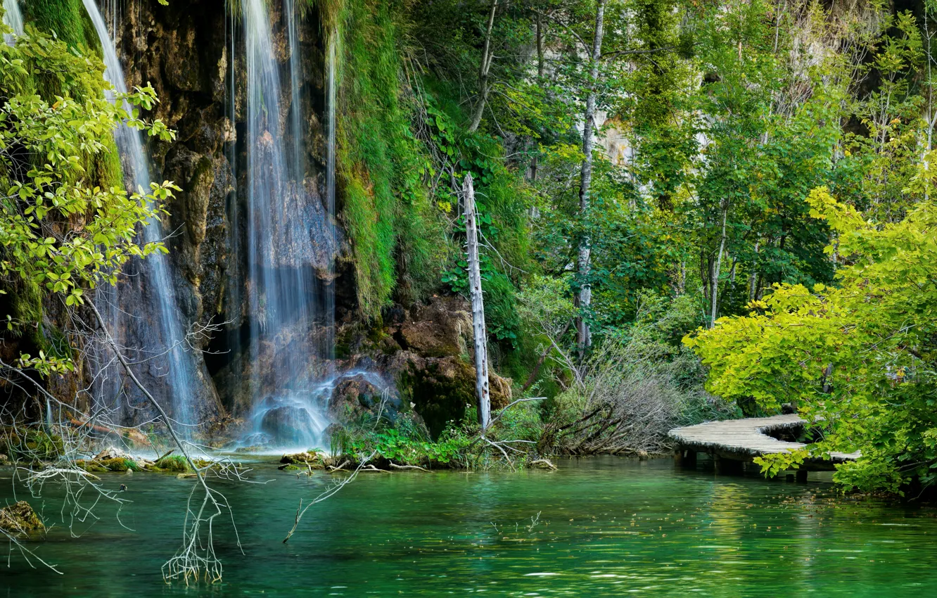 Фото обои лес, озеро, камни, скалы, водопад, мостки, Хорватия, Plitvice Lakes National Park