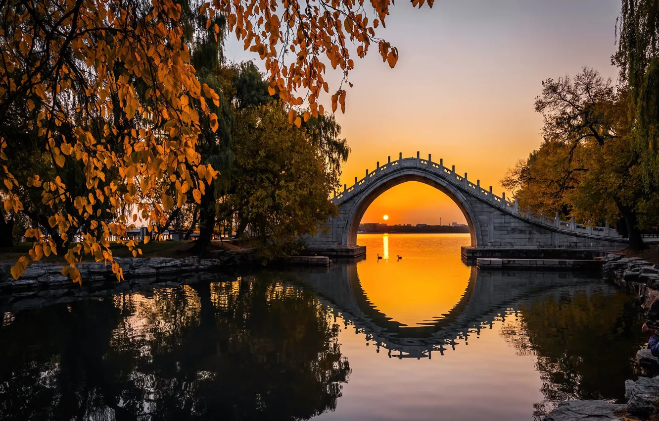 Фото обои осень, солнце, деревья, закат, мост, озеро, пруд, парк