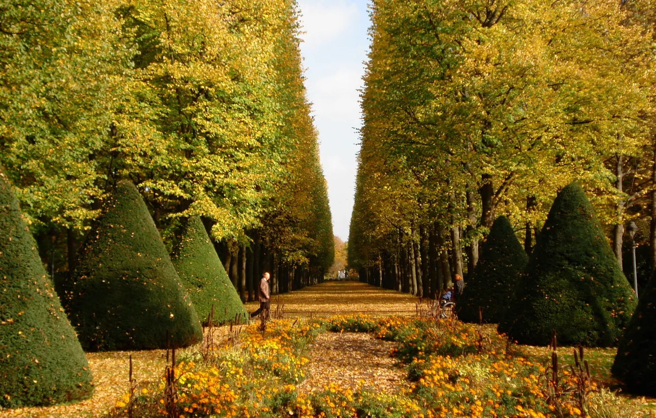 Фото обои осень, листья, деревья, природа, парк, дорожка, прогулка, Nature