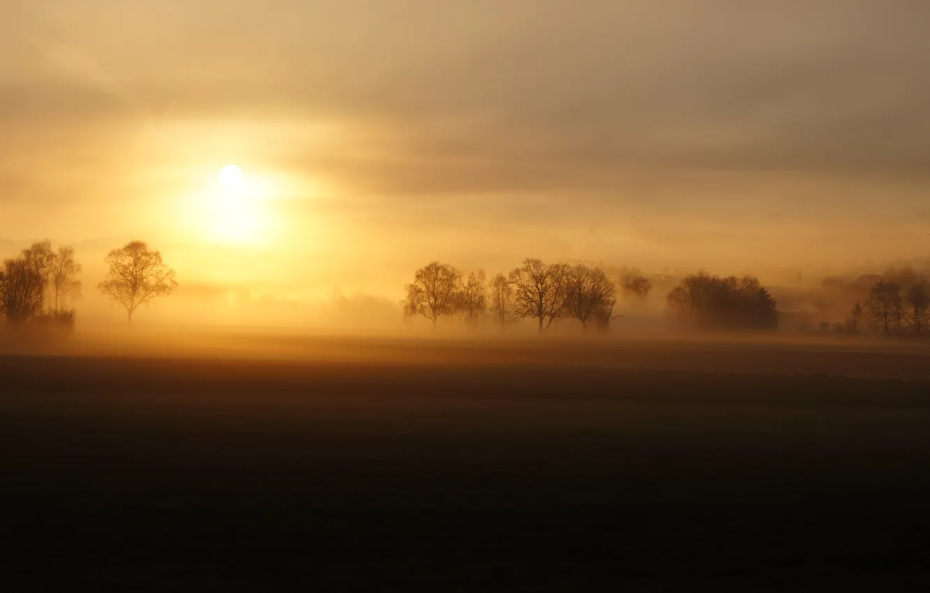 Фото обои поле, пейзаж, закат, туман