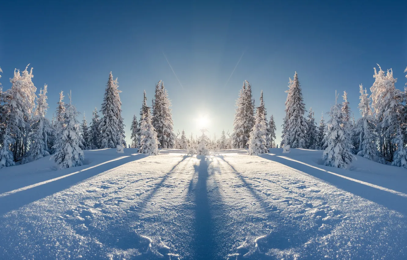 Фото обои зима, поле, лес, солнце, лучи, снег, пейзаж, отражение