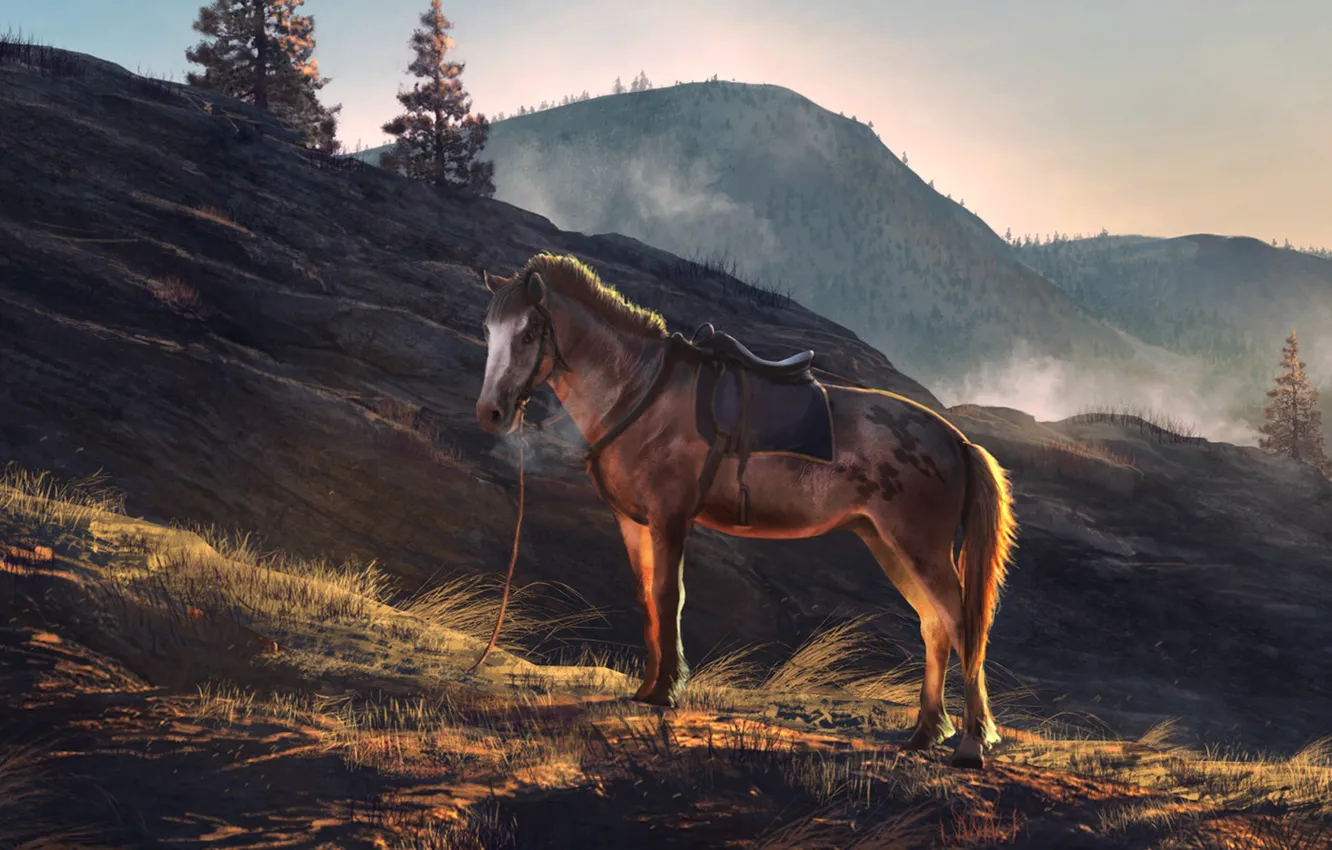 Фото обои горы, лошадь, nature, sunrise, horse, Andrii Shafetov