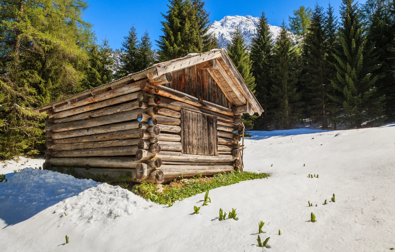 Фото обои зима, лес, солнце, снег, деревья, горы, дом, Австрия