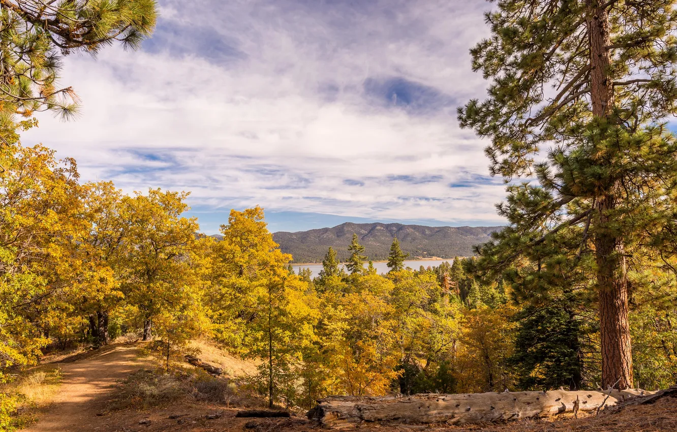 Фото обои осень, деревья, горы, озеро, Калифорния, США, Big Bear Lake
