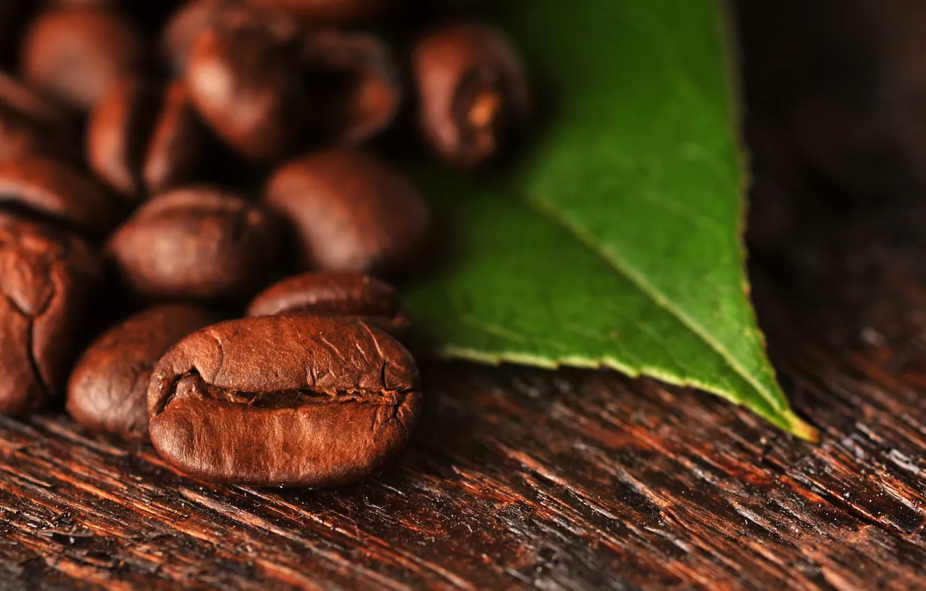 Фото обои макро, лист, кофе, зерна, macro, leaf, beans, coffee