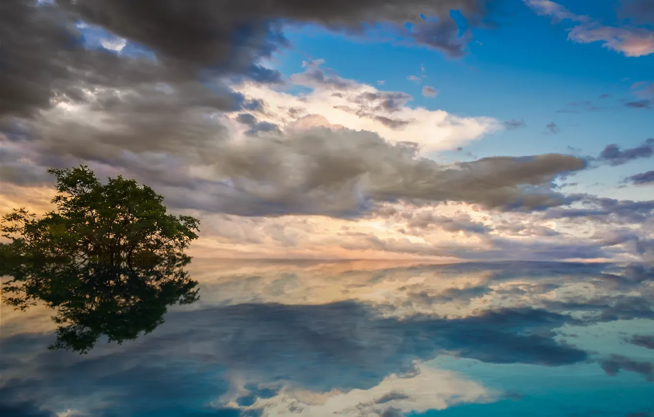 Фото обои небо, вода, облака, гладь, отражение, дерево, голубое, Озеро