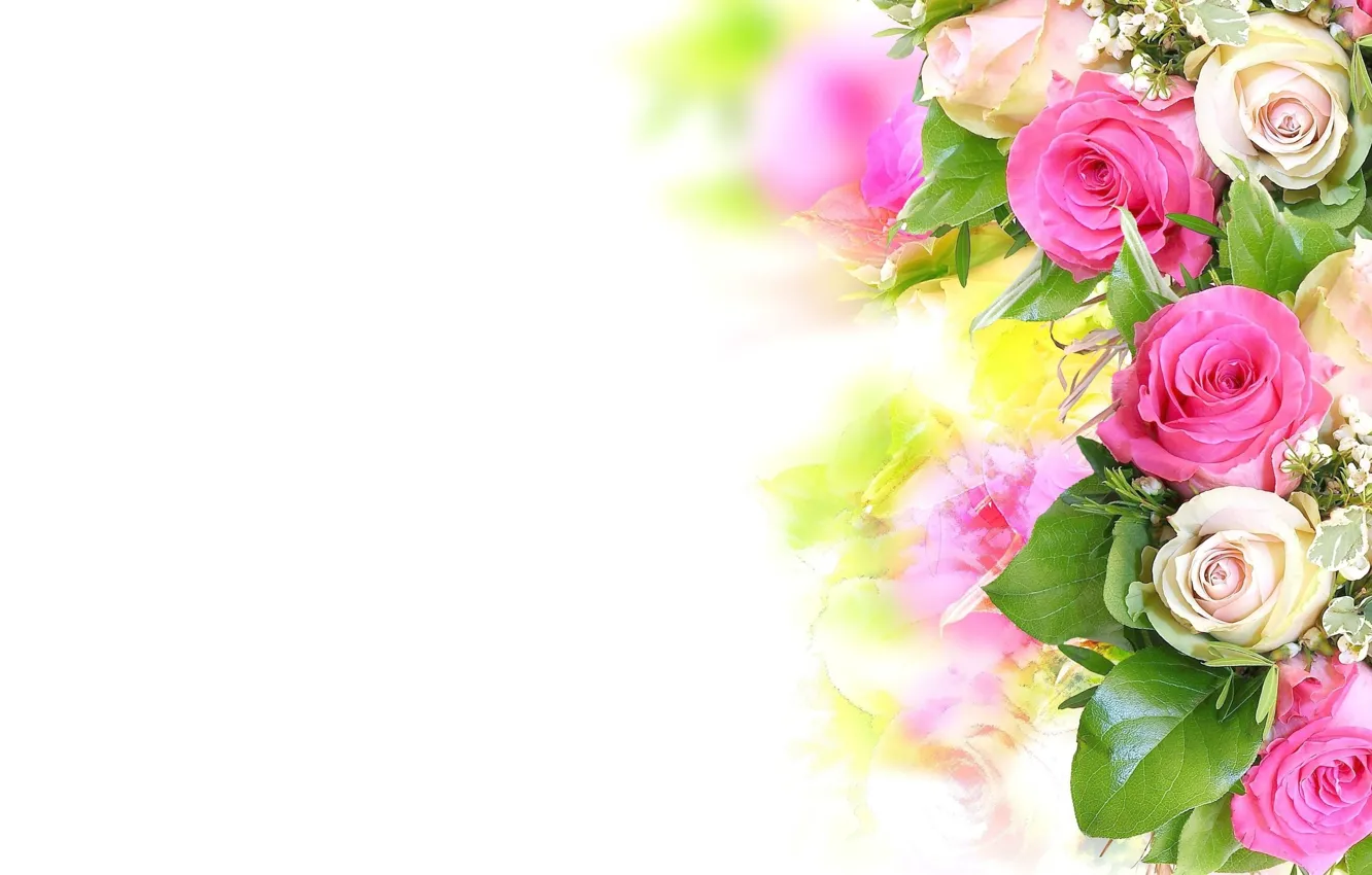 Фото обои цветок, цветы, розы, букет, розовые, белые, красивые