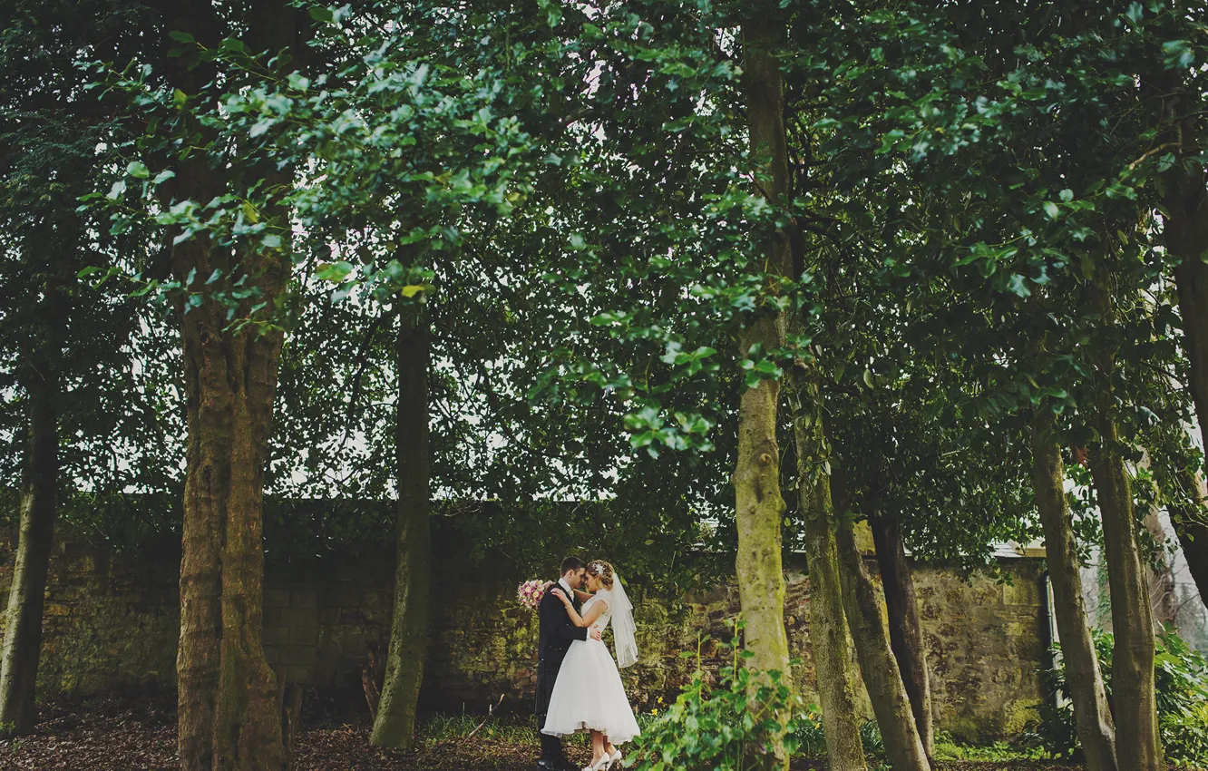 Фото обои деревья, Шотландия, невеста, свадьба, жених