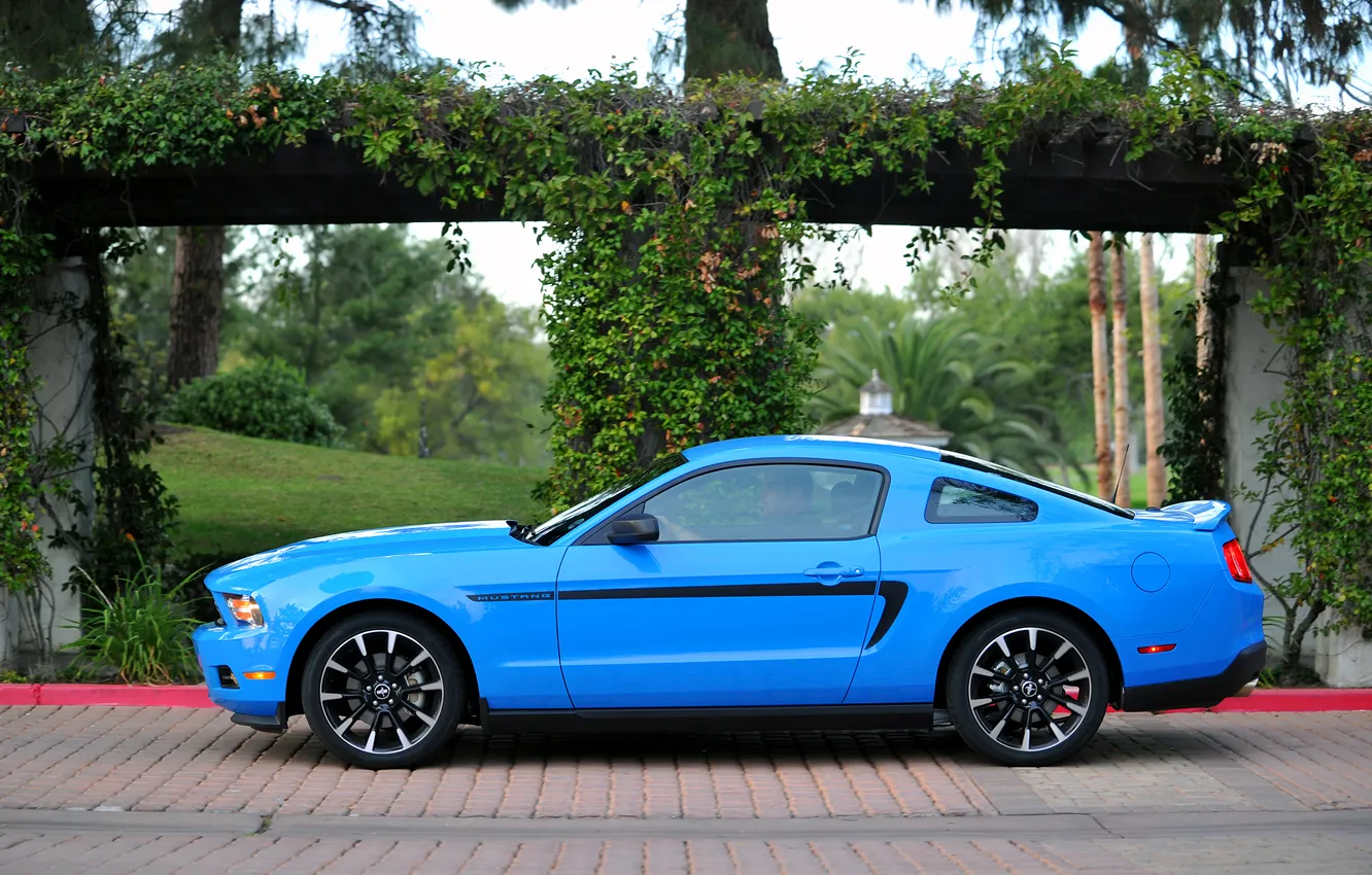 Фото обои Mustang, Ford, мустанг, 2012, форд