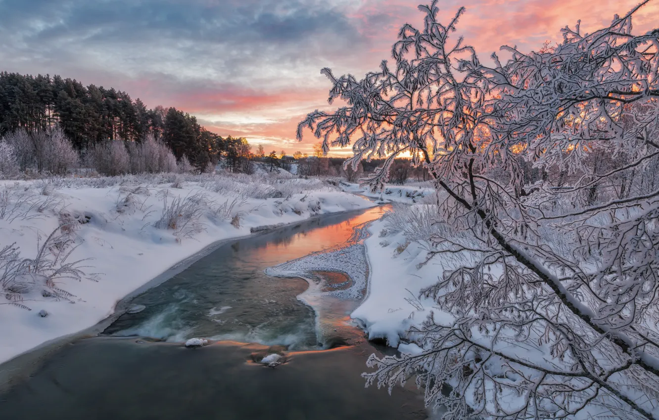 Фото обои зима, лес, снег, пейзаж, ветки, природа, река, берега