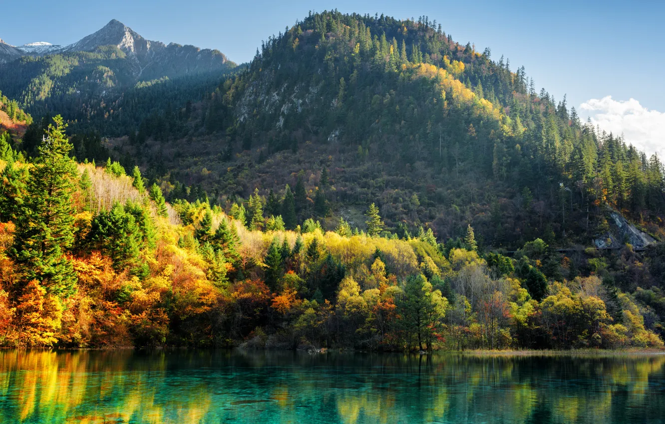 Фото обои осень, лес, деревья, горы, озеро, Китай, солнечно, красочно