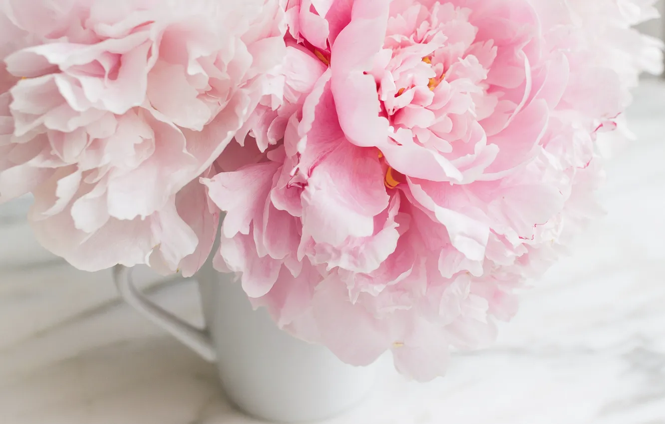Фото обои цветы, букет, мрамор, pink, flowers, пионы, peonies, tender