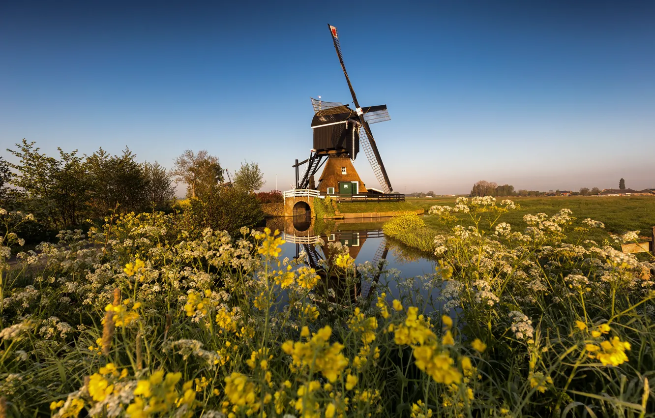 Фото обои мельница, канал, Нидерланды, Zuid-Holland, Streefkerk