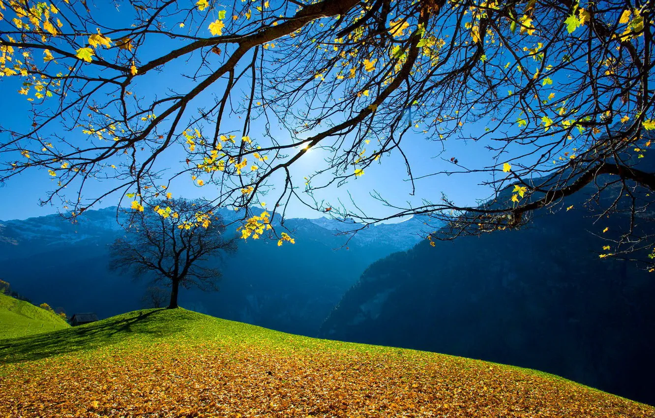 Фото обои небо, солнце, деревья, горы, листва, Осень