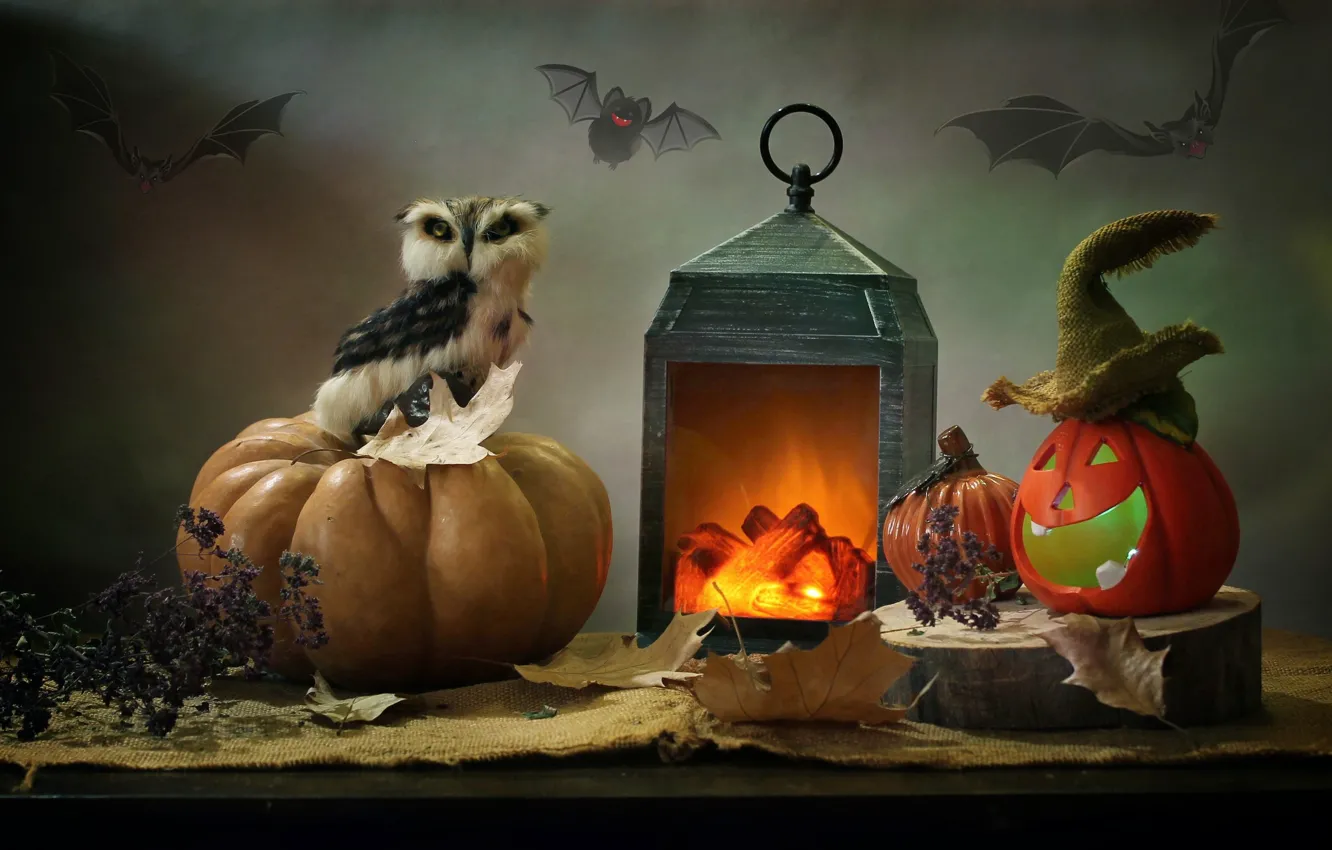 Фото обои листья, сова, фонарь, тыквы, ткань, Хэллоуин, мешковина, Ковалёва Светлана