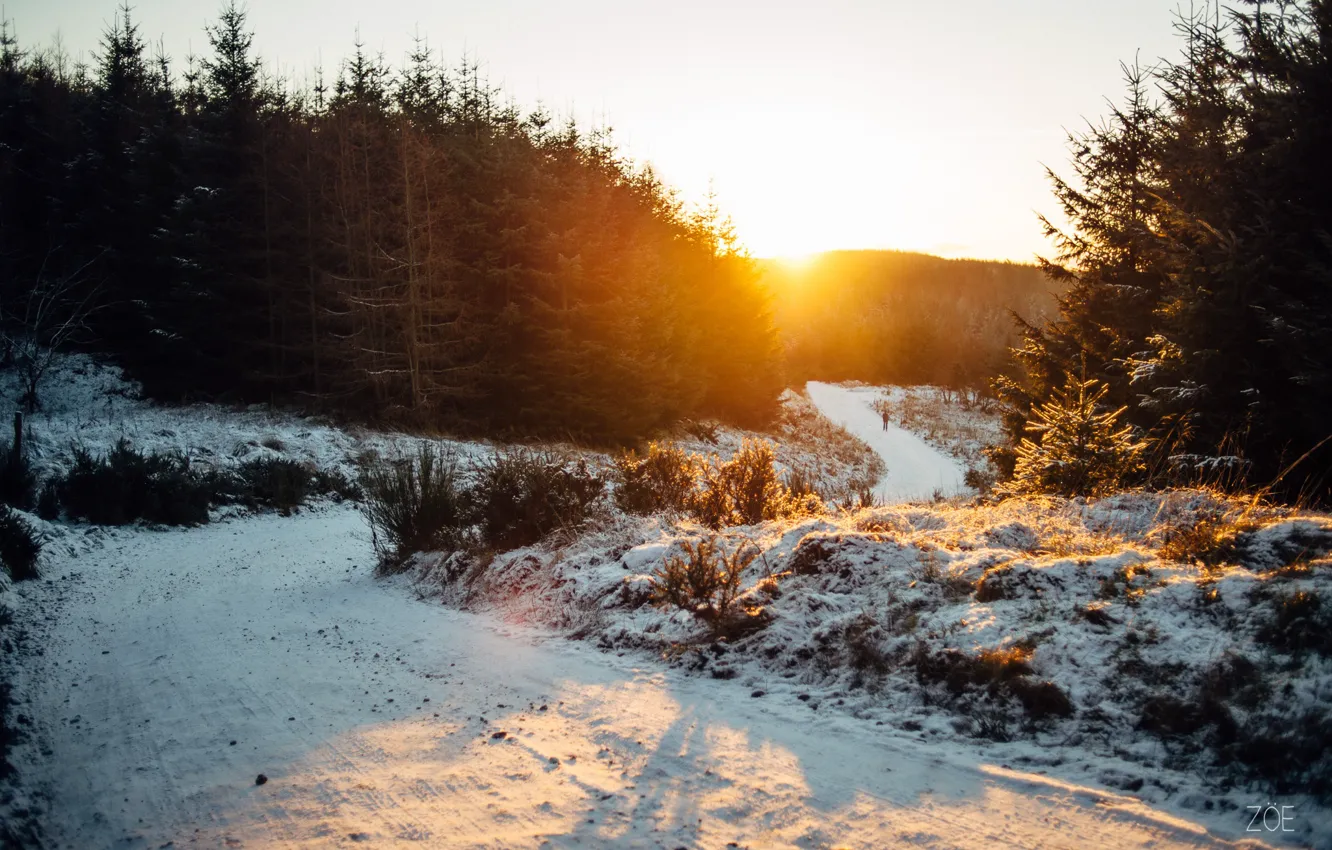Фото обои зима, дорога, солнце, снег, человек, елки, прогулка, гуляет