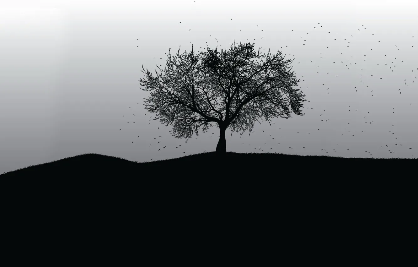 Фото обои дерево, черно-белая, вектор