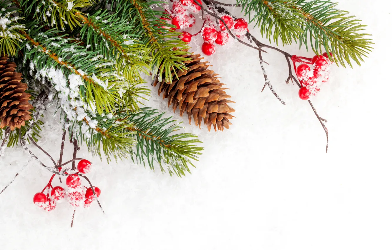 Фото обои зима, снег, снежинки, елка, Christmas, шишки, winter, snow
