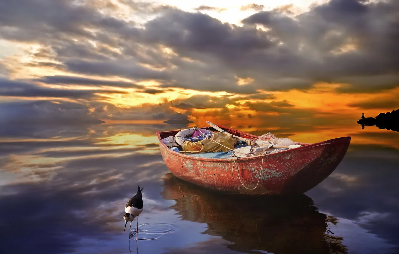 Фото обои пейзаж, закат, птица, лодка