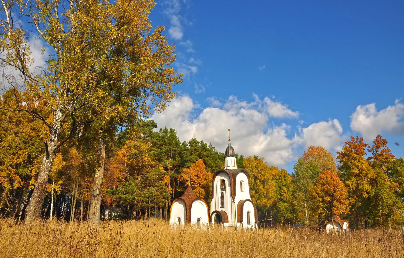 Фото обои осень, деревья, пейзаж, природа, город, Чехов, Храм Александра Невского