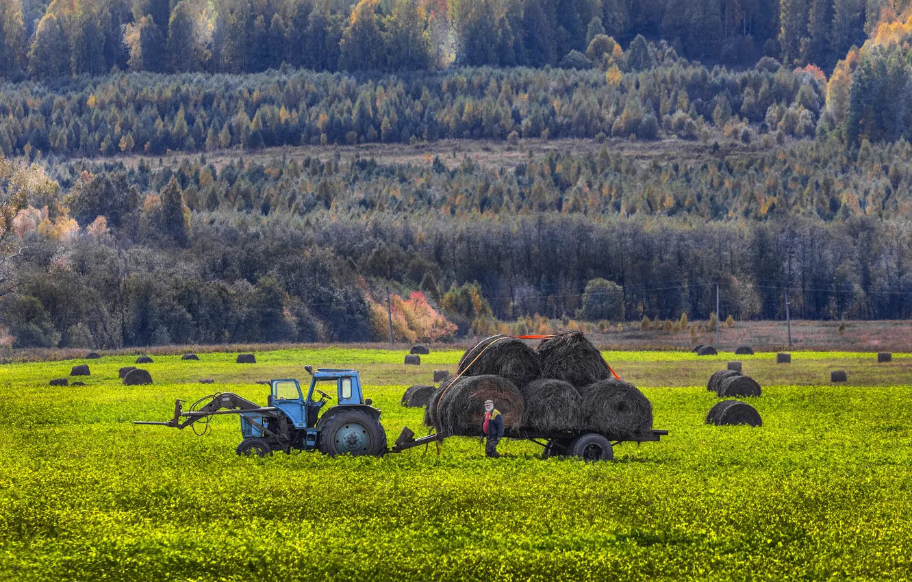 Фото обои tractor, farm, sight, farmer
